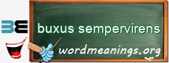 WordMeaning blackboard for buxus sempervirens